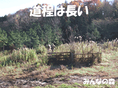 サバゲーフラッグ戦