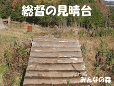 バリケード木