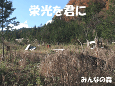 サバゲーバリケード